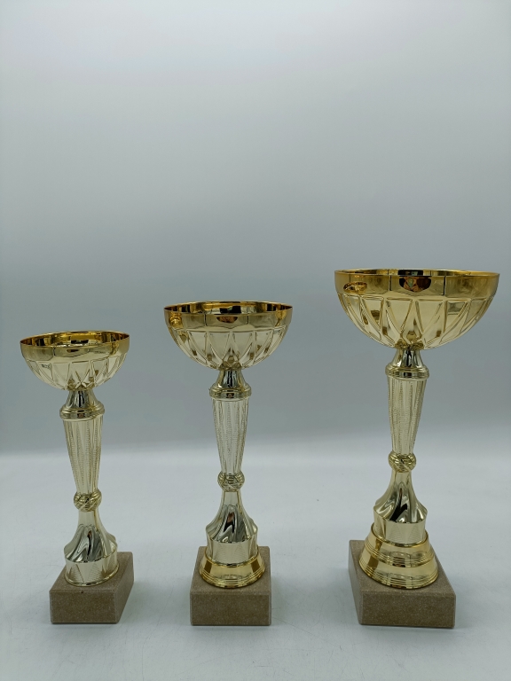 trofeo ficha grande