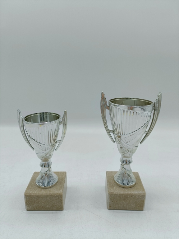 trofeo ficha grande