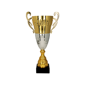 trofeo ficha grande