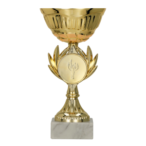trofeo ficha grande