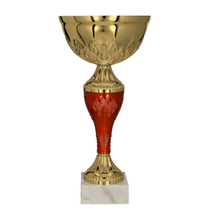 trofeo ficha grande