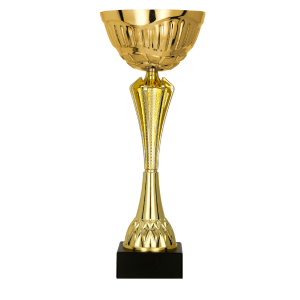 trofeo ficha grande