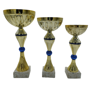 trofeo ficha grande