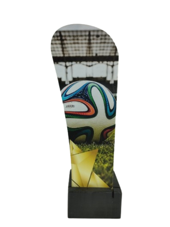 trofeo ficha grande