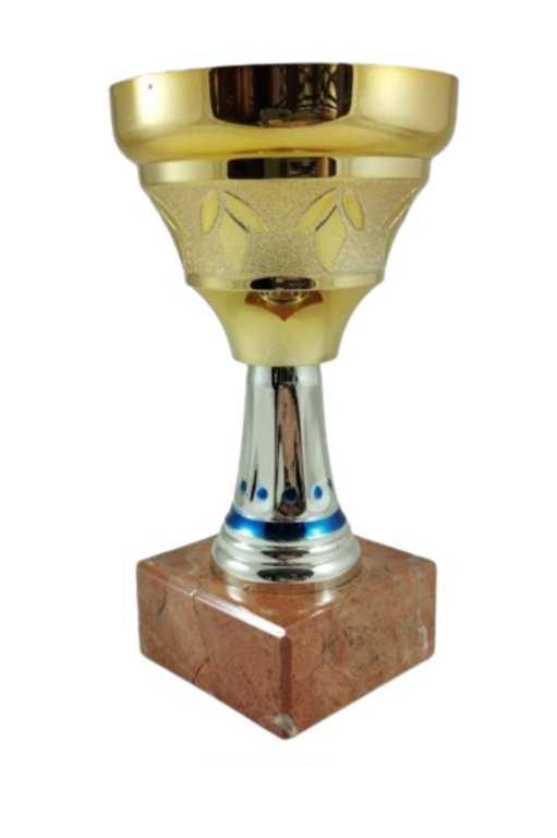 trofeo ficha grande