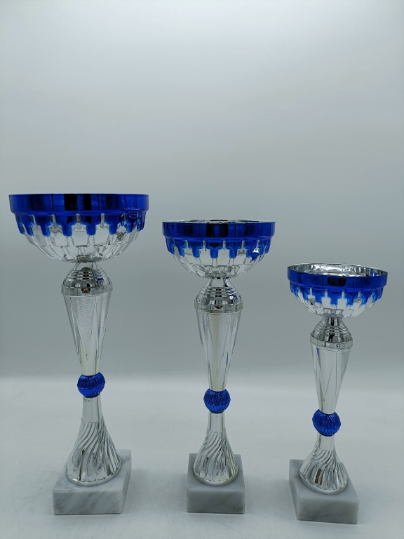 trofeo ficha grande