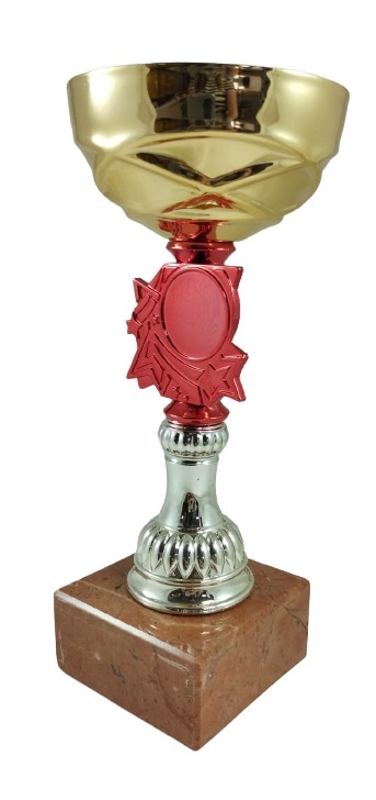 trofeo ficha grande