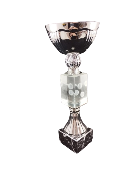 trofeo ficha grande