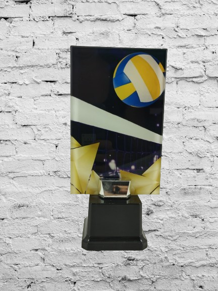 trofeo ficha grande