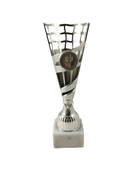 trofeo ficha grande