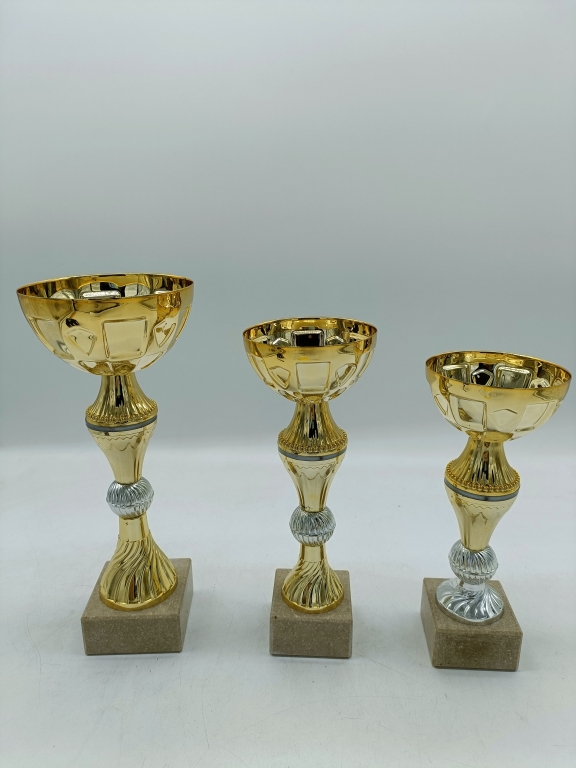 trofeo ficha grande