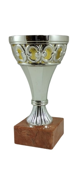 trofeo ficha grande