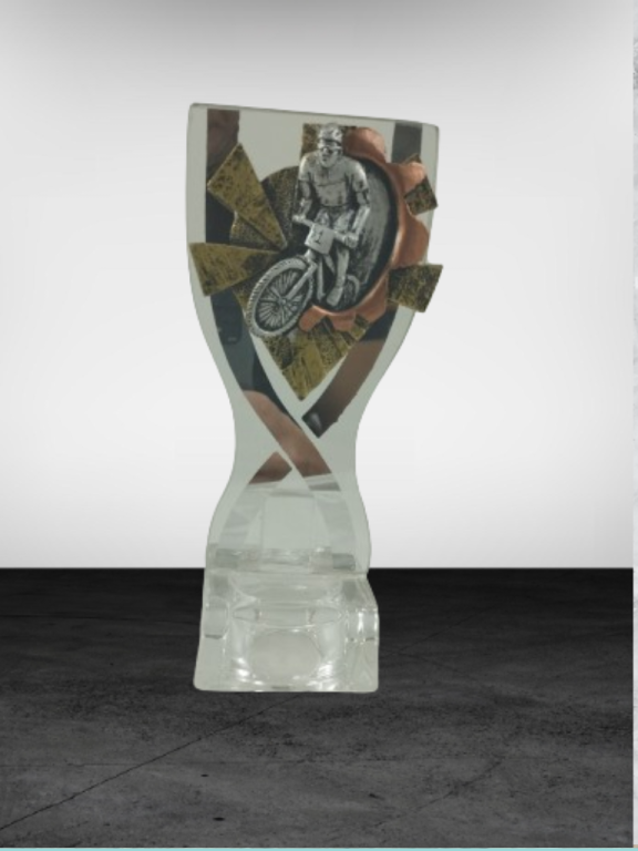 trofeo ficha grande