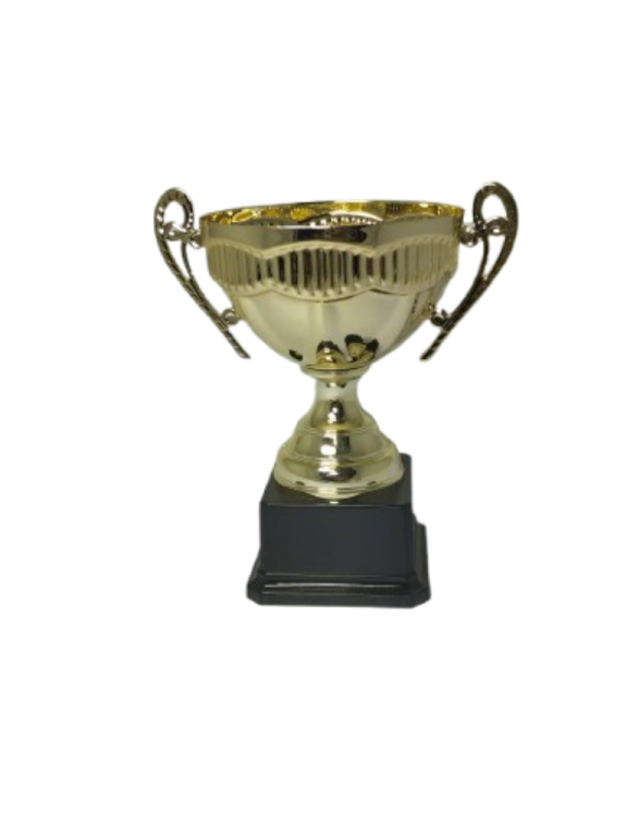 trofeo ficha grande