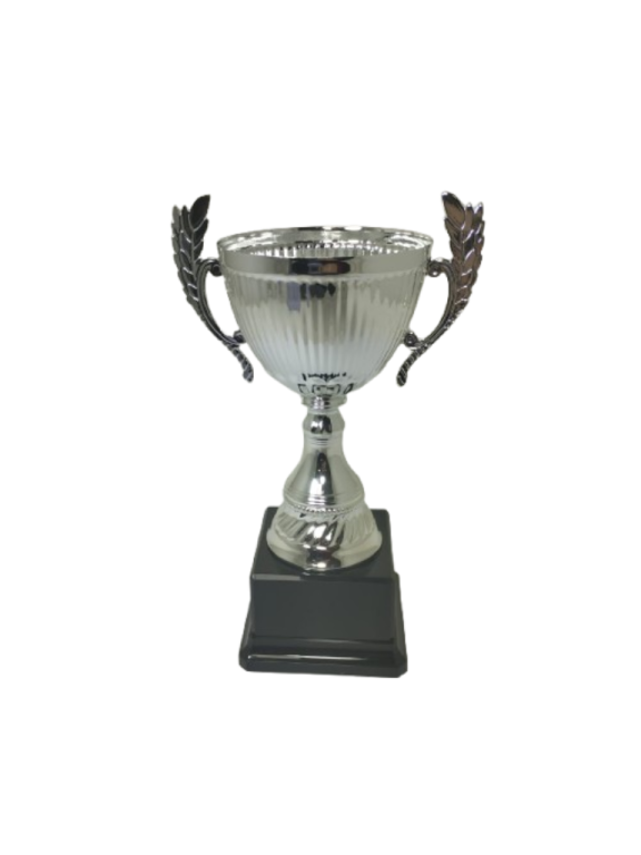 trofeo ficha grande