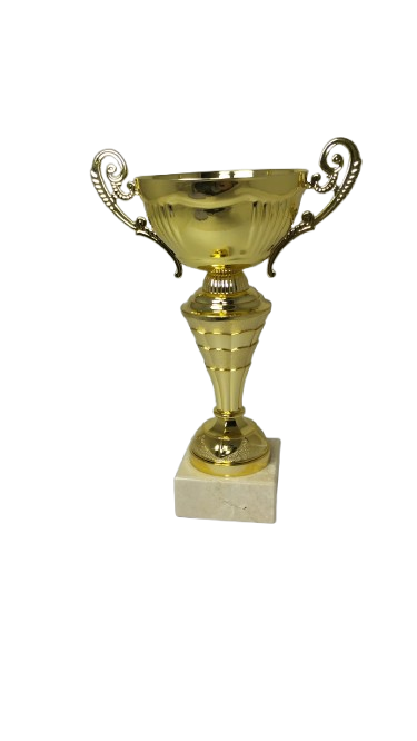 trofeo ficha grande