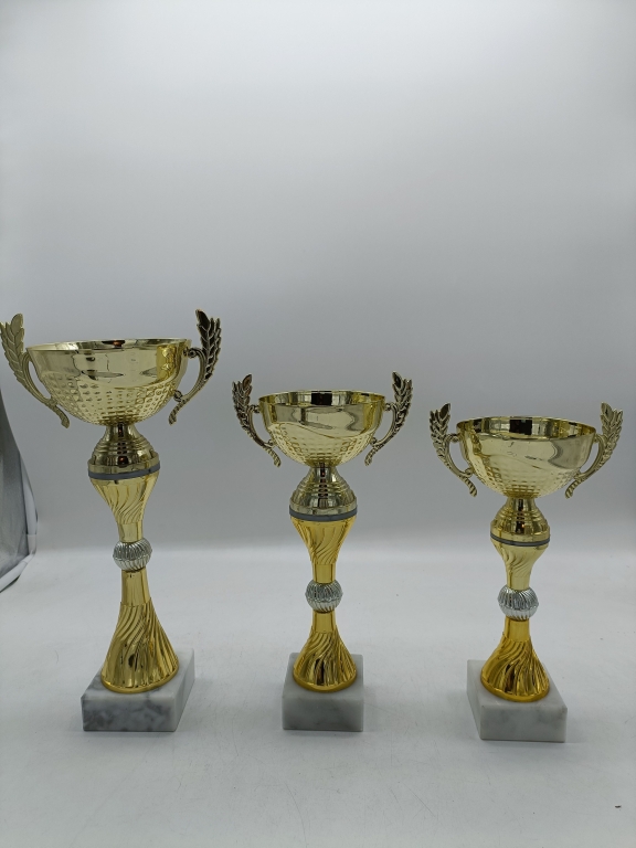 trofeo ficha grande