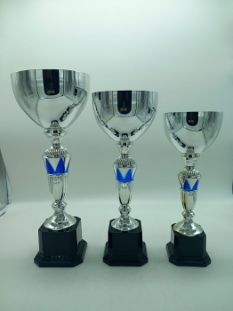 TROFEO ECONOMICO, 36,5 cm