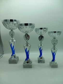 TROFEO ECONOMICO
