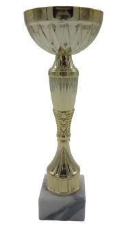 TROFEO ECONOMICO, 24,5 cm