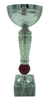 TROFEO ECONOMICO, 26 cm