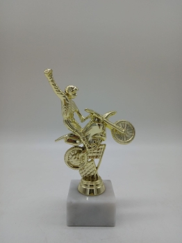 TROFEO PARTICIPACION