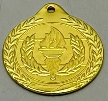 MEDALLA 50 PLATA ARTES MARCIALES