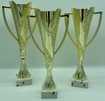 TROFEO ECONOMICO, 36 cm
