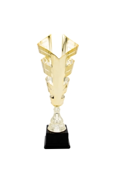 TROFEO DISE?O, 48,5 cm
