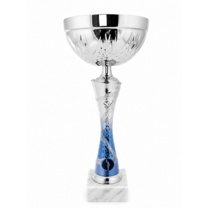 COPA VICTORY