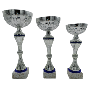 COPA PLATEADA Y AZUL EN PROMOCION , 26.5 cm
