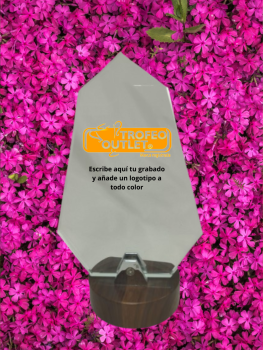 Troféu outlet de cristal para gravação com base de madeira à venda, 23 cm