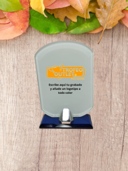 Trofeo en oferta outlet opaco para grabacion., 17 cm