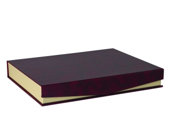 Placa homenaje en oferta color dorado con borde trenza   Estuche placa de homenaje oferta /imagen estuche outlet cerrado.