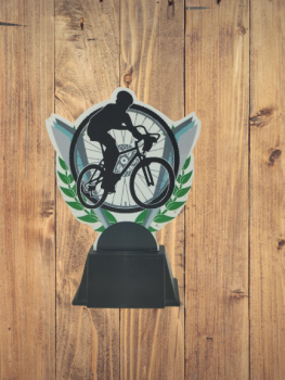 Trofeo ciclismo metraquilato , 17.5 cm