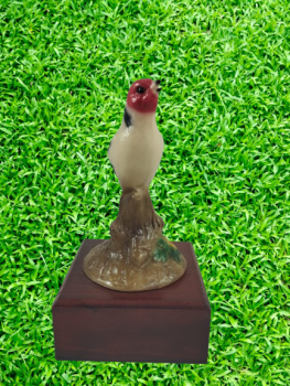 Trofeo de pajaro colorin , 19 cm