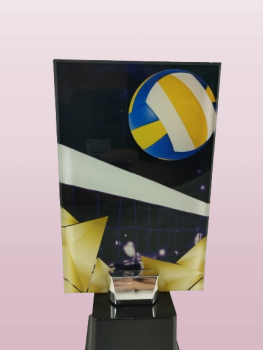 Troféu de voleibol com base preta, 22.5 cm