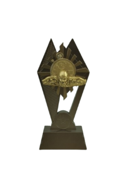 TROFEO VICTORIA NATACION , 17.5 cm