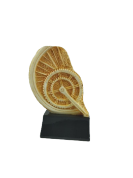 Trofeo de medalla bicicleta , 15 cm