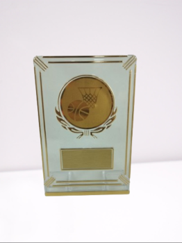  Troféu universal para aplicação central e gravação
