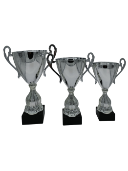 COPA CON ASAS PLATEADA, 42 cm