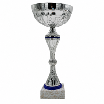 COPA PLATEADA Y AZUL EN PROMOCION , 26.5 cm