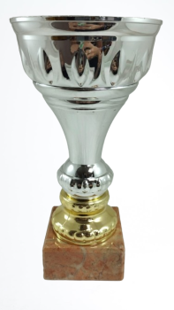 taça de ouro, 21 cm