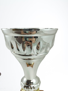 taça de ouro, 21 cm